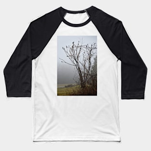 Sumac in fog Baseball T-Shirt